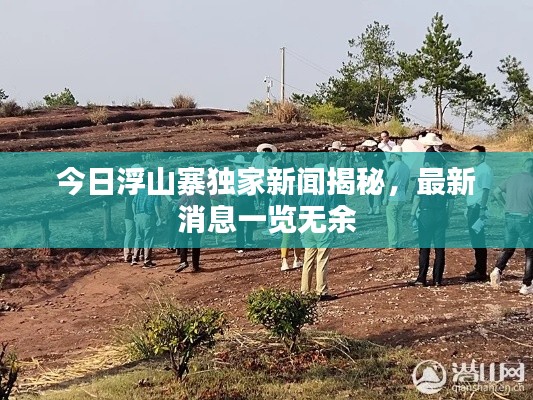 今日浮山寨独家新闻揭秘，最新消息一览无余