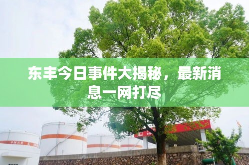 东丰今日事件大揭秘，最新消息一网打尽