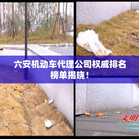 六安机动车代理公司权威排名榜单揭晓！