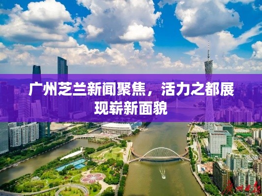 广州芝兰新闻聚焦，活力之都展现崭新面貌