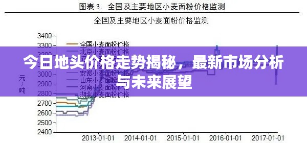今日地头价格走势揭秘，最新市场分析与未来展望