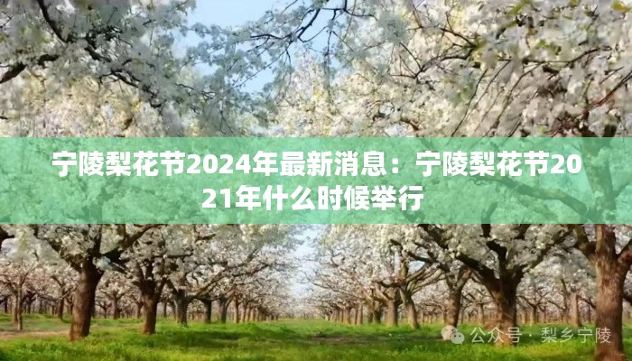 宁陵梨花节2024年最新消息：宁陵梨花节2021年什么时候举行 
