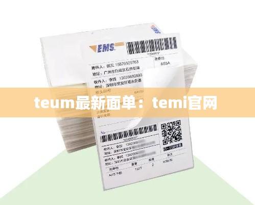 teum最新面单：temi官网 