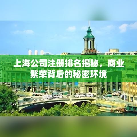 上海公司注册排名揭秘，商业繁荣背后的秘密环境