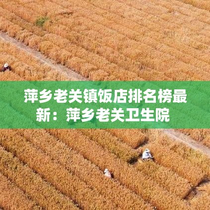 硕果仅存 第2页