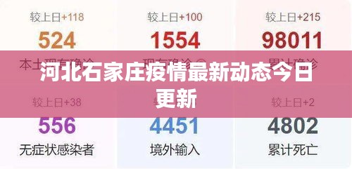 河北石家庄疫情最新动态今日更新
