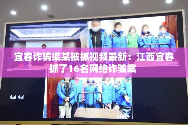 宜春诈骗梁某被抓视频最新：江西宜春抓了16名网络诈骗案 