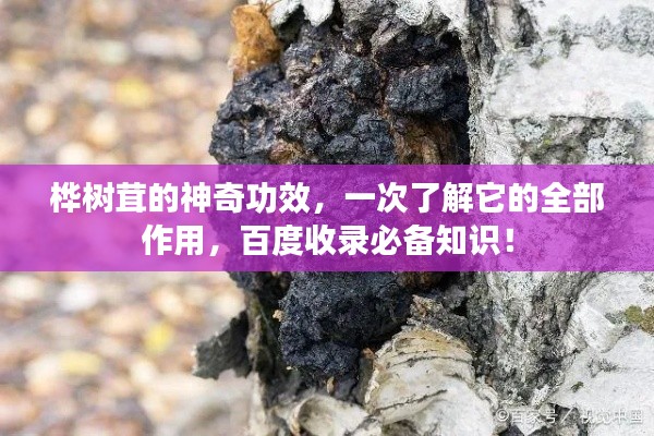 韦编三绝 第2页