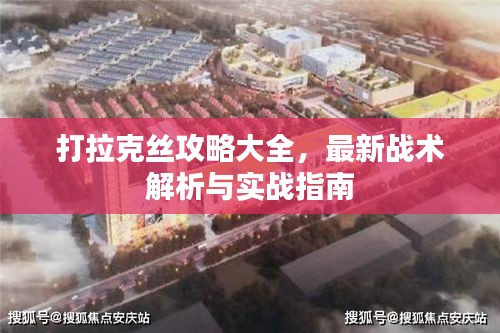 打拉克丝攻略大全，最新战术解析与实战指南