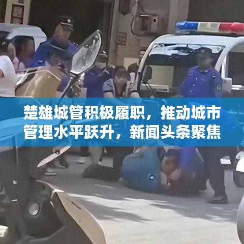 楚雄城管积极履职，推动城市管理水平跃升，新闻头条聚焦