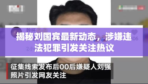 揭秘刘国宾最新动态，涉嫌违法犯罪引发关注热议