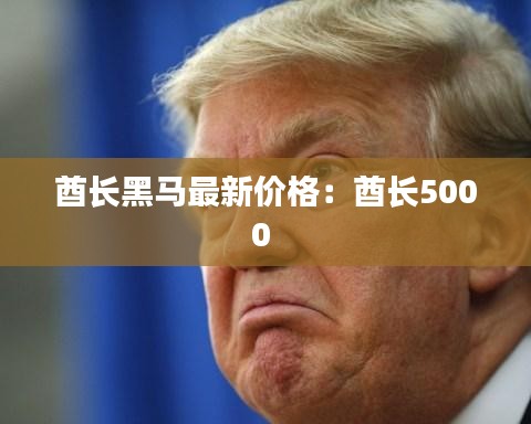 酋长黑马最新价格：酋长5000 