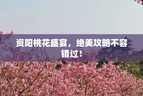 资阳桃花盛宴，绝美攻略不容错过！