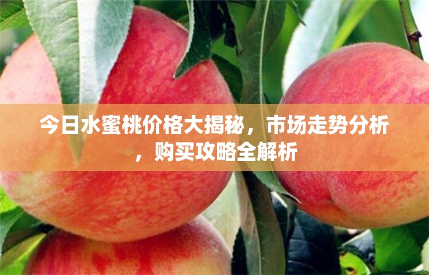 今日水蜜桃价格大揭秘，市场走势分析，购买攻略全解析