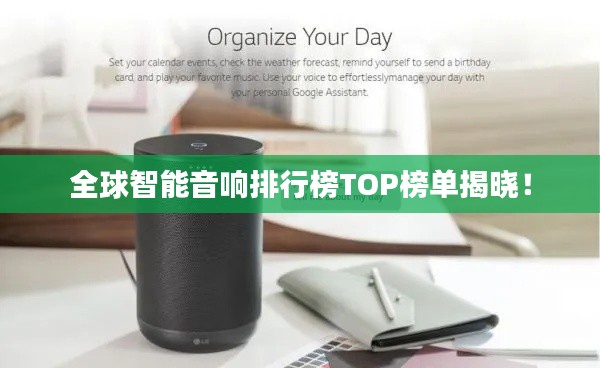 全球智能音响排行榜TOP榜单揭晓！