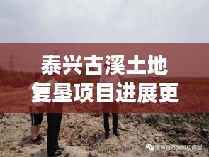 泰兴古溪土地复垦项目进展更新，最新动态揭秘