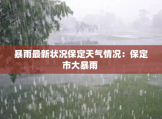 暴雨最新状况保定天气情况：保定市大暴雨 