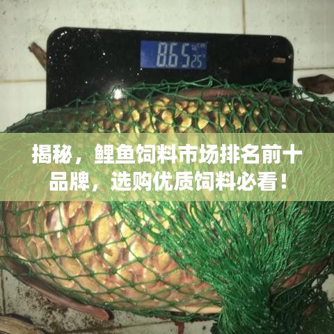 初遇在故事开头 第2页