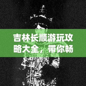 支付方式说明 第74页
