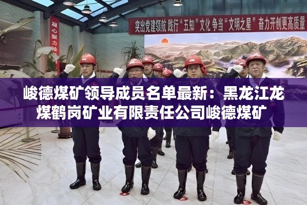 峻德煤矿领导成员名单最新：黑龙江龙煤鹤岗矿业有限责任公司峻德煤矿 