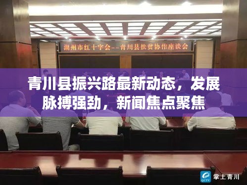 青川县振兴路最新动态，发展脉搏强劲，新闻焦点聚焦
