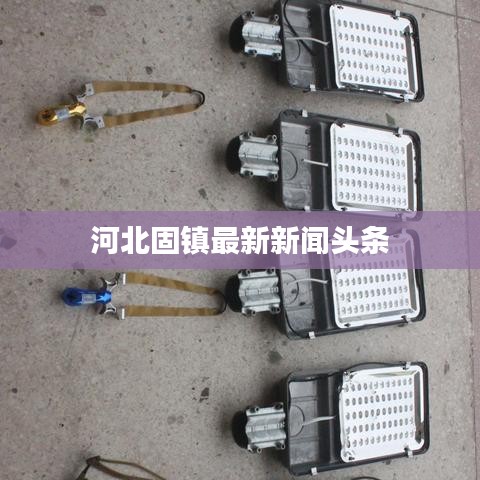 河北固镇最新新闻头条