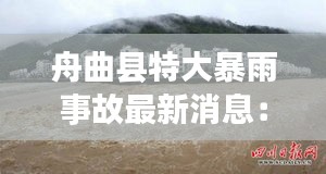 真独简贵 第2页