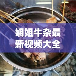 娴姐牛杂最新视频大全免费观看：娴姐牛杂最新视频大全免费观看 