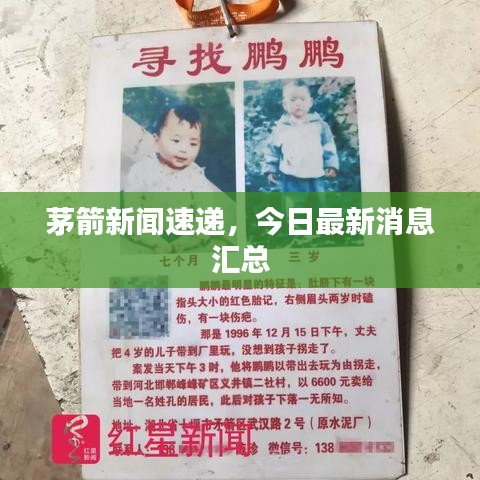 茅箭新闻速递，今日最新消息汇总