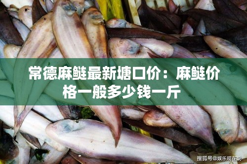 常德麻鲢最新塘口价：麻鲢价格一般多少钱一斤 