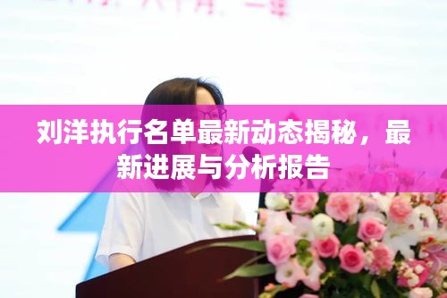 刘洋执行名单最新动态揭秘，最新进展与分析报告
