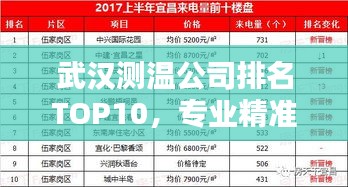 武汉测温公司排名TOP10，专业精准温度测量解决方案引领者
