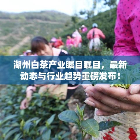 飞天遁地 第2页