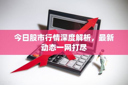 今日股市行情深度解析，最新动态一网打尽