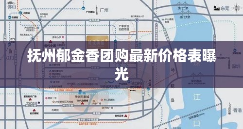 抚州郁金香团购最新价格表曝光