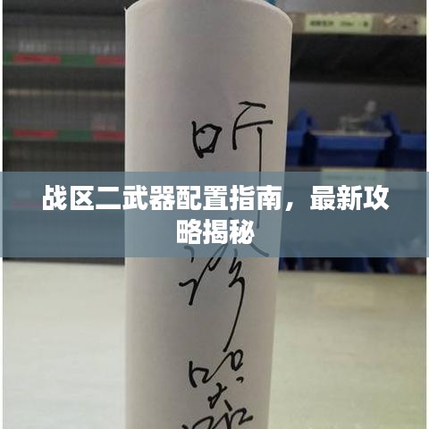 战区二武器配置指南，最新攻略揭秘