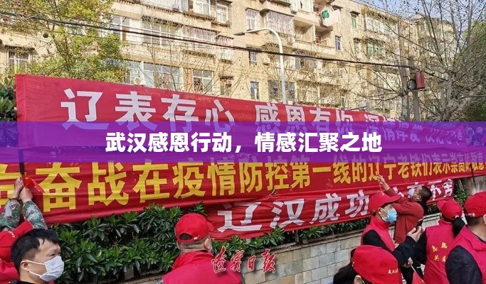 武汉感恩行动，情感汇聚之地