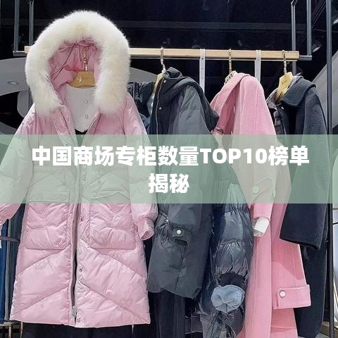 支付方式说明 第70页