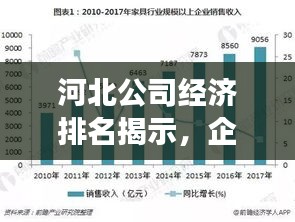 河北公司经济排名揭示，企业发展新态势与趋势分析