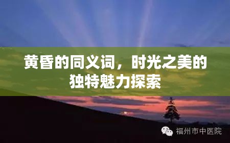 黄昏的同义词，时光之美的独特魅力探索
