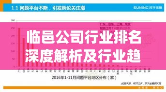 临邑公司行业排名深度解析及行业趋势展望