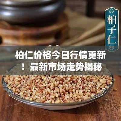 柏仁价格今日行情更新！最新市场走势揭秘