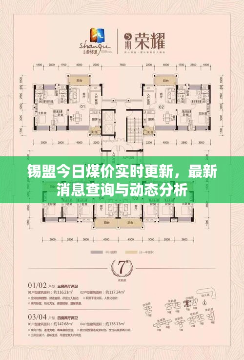 锡盟今日煤价实时更新，最新消息查询与动态分析