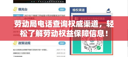 劳动局电话查询权威渠道，轻松了解劳动权益保障信息！
