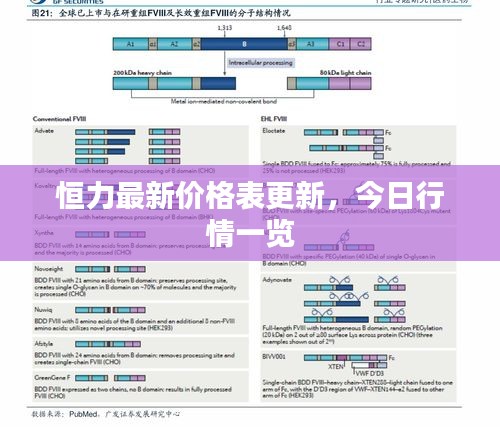 郑重其事 第2页