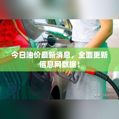 今日油价最新消息，全面更新信息网数据！