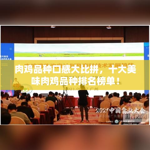 肉鸡品种口感大比拼，十大美味肉鸡品种排名榜单！