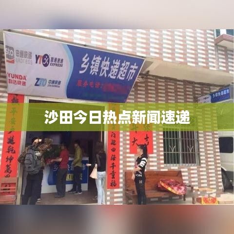 沙田今日热点新闻速递