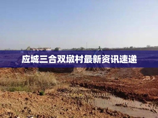 应城三合双墩村最新资讯速递