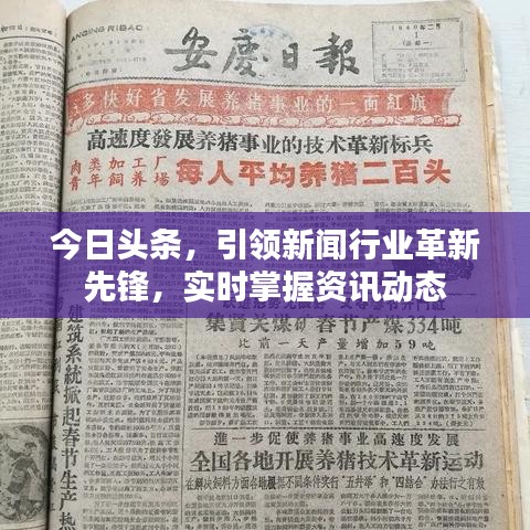 今日头条，引领新闻行业革新先锋，实时掌握资讯动态